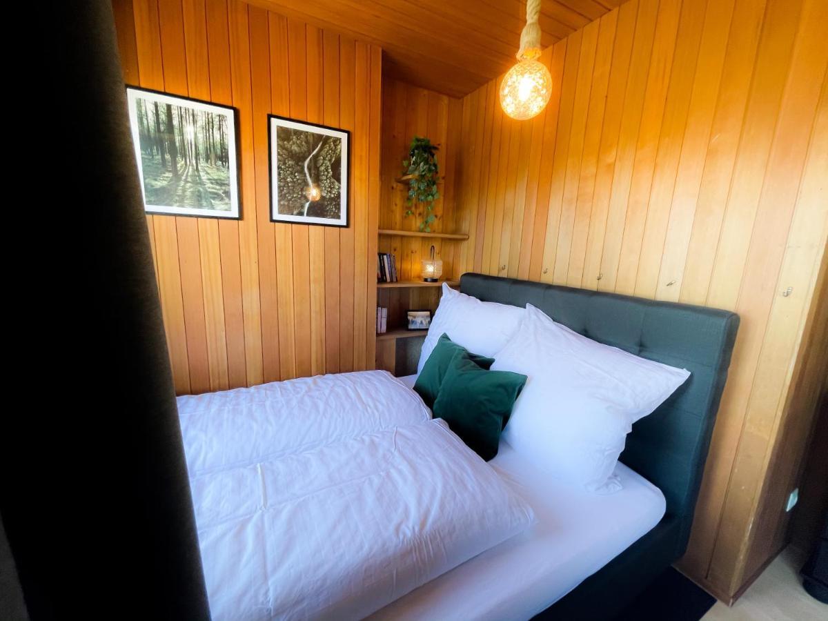 Gemuetliche Ferienwohnung Mit Kostenfreiem Pool ヘーヘンシュヴァント エクステリア 写真
