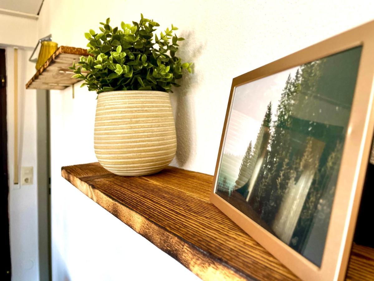 Gemuetliche Ferienwohnung Mit Kostenfreiem Pool ヘーヘンシュヴァント エクステリア 写真